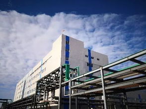 喜報(bào) 中化鋰電產(chǎn)業(yè)又一重大項(xiàng)目在浙江長(zhǎng)興開建