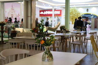 昆明首個少兒主題教培綜合體開業,原白云淘寶城蛻變為盛都夢工廠