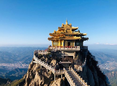 云看萬(wàn)張圖不如實(shí)地觀賞一朵牡丹花