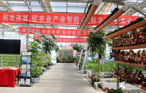 加快工廠化循環(huán)水養(yǎng)殖裝備技術(shù)創(chuàng)新，助推水產(chǎn)養(yǎng)殖綠色高效發(fā)展